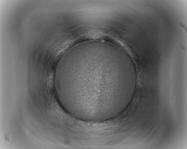 X0000101180018200807071257