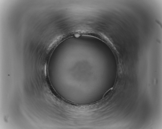 X0000101180019200807071257