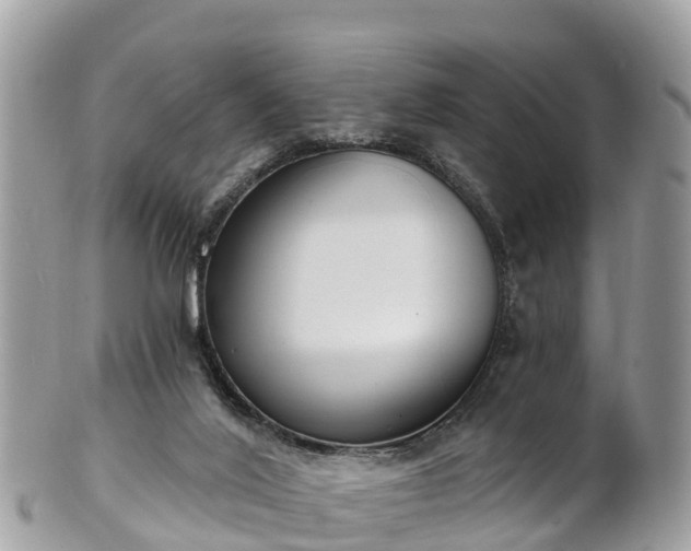 X0000101180020200807071257