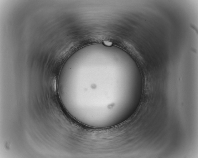 X0000101180021200807071257