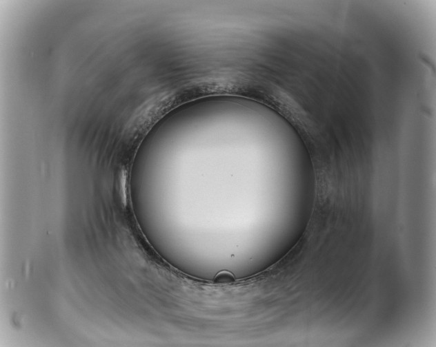 X0000101180022200807071257