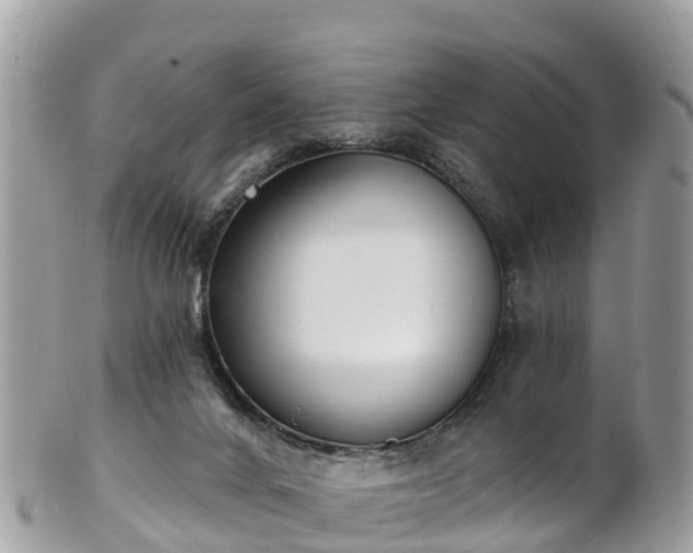 X0000101180024200807071256
