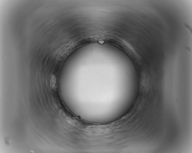 X0000101180025200807071256