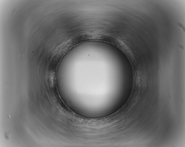 X0000101180026200807071256