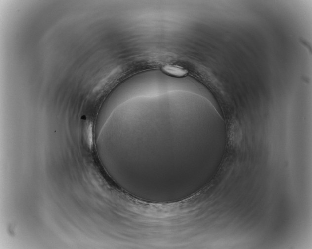 X0000101180027200807071256