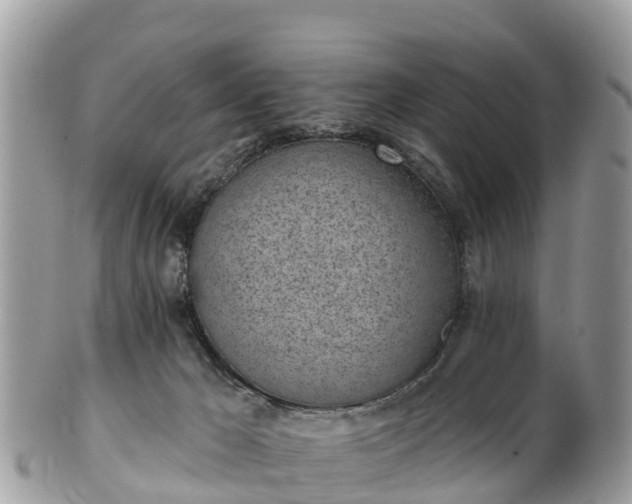 X0000101180029200807071256