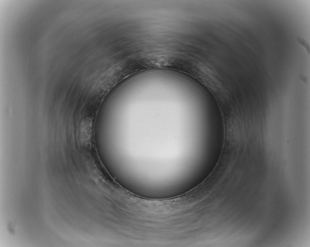 X0000101180030200807071256