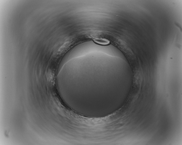 X0000101180031200807071256