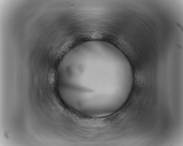 X0000101180032200807071256