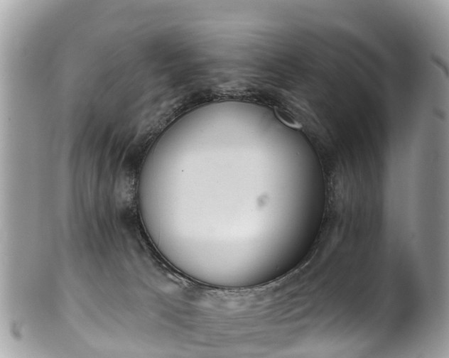 X0000101180033200807071256