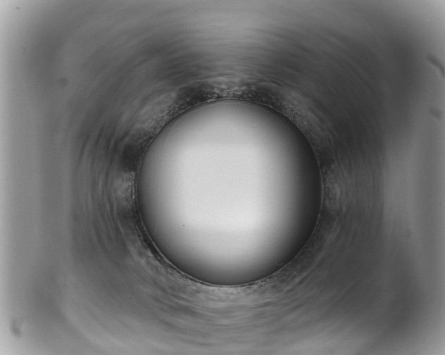 X0000101180034200807071256