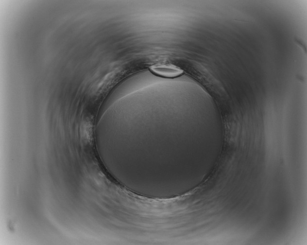 X0000101180035200807071256