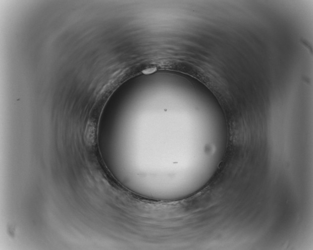 X0000101180036200807071256