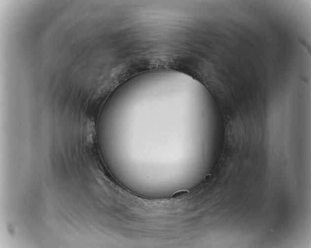 X0000101180038200807071256
