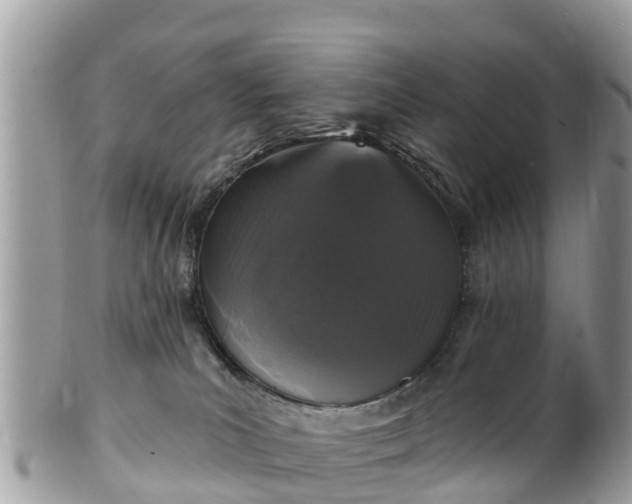 X0000101180039200807071256