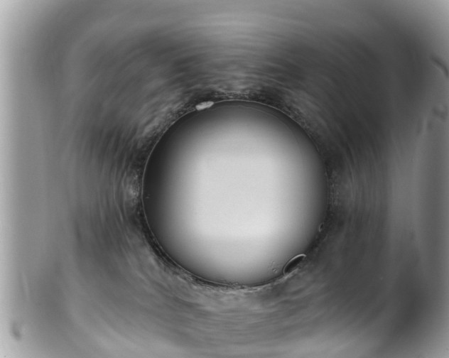 X0000101180040200807071256