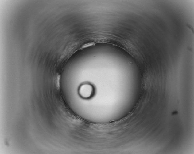 X0000101180041200807071256