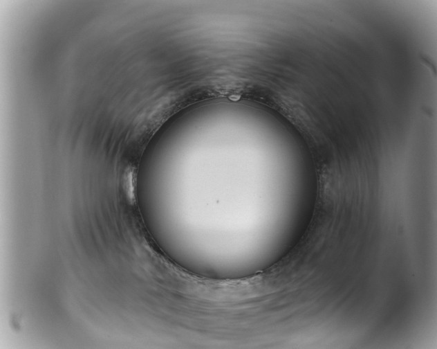 X0000101180042200807071256