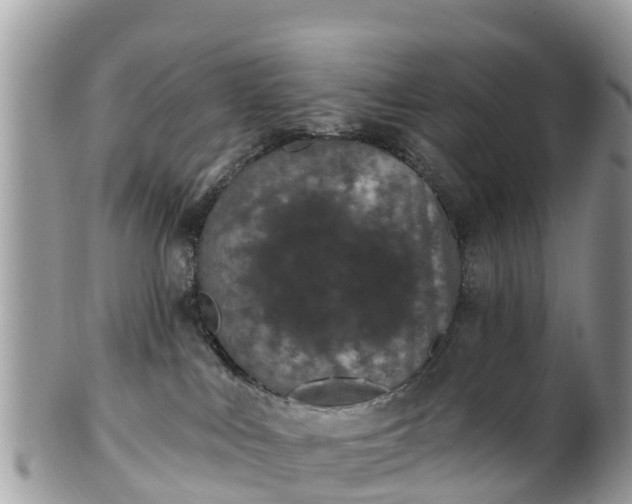 X0000101180043200807071256