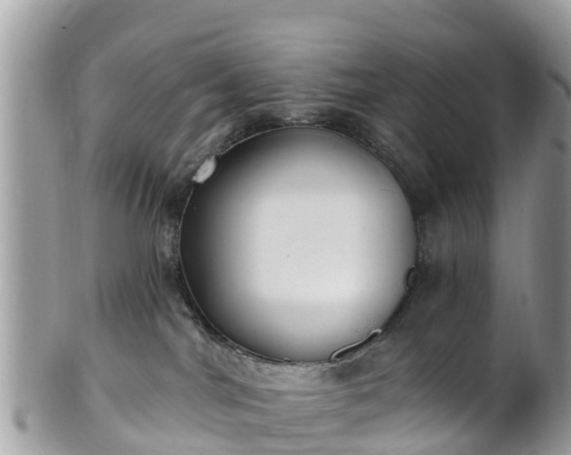 X0000101180044200807071256