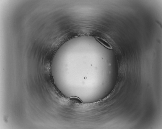 X0000101180045200807071256