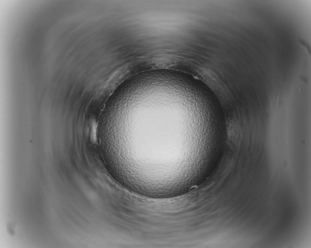 X0000101180046200807071256