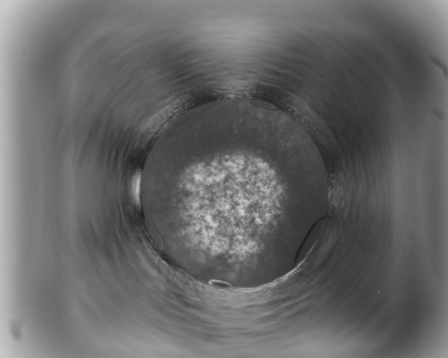 X0000101180047200807071256