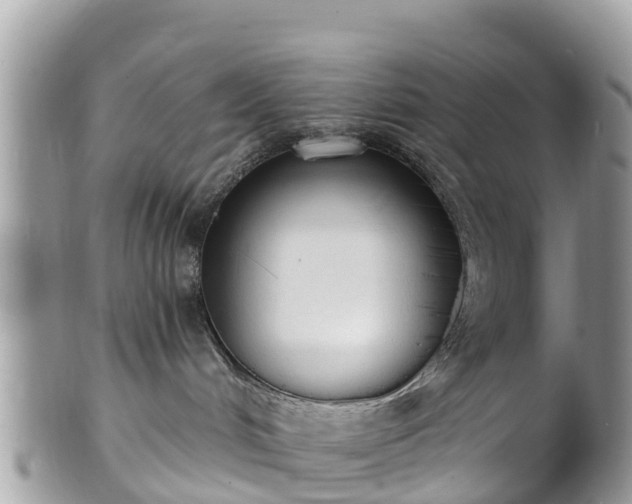 X0000101180048200807071256