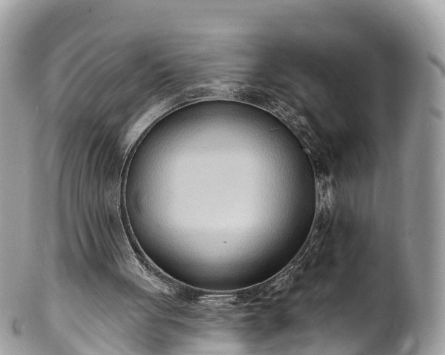 X0000101180051200807071255