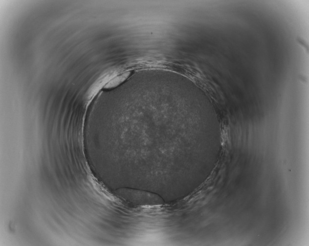 X0000101180052200807071255