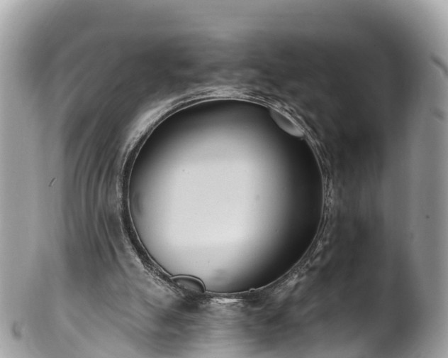 X0000101180055200807071255