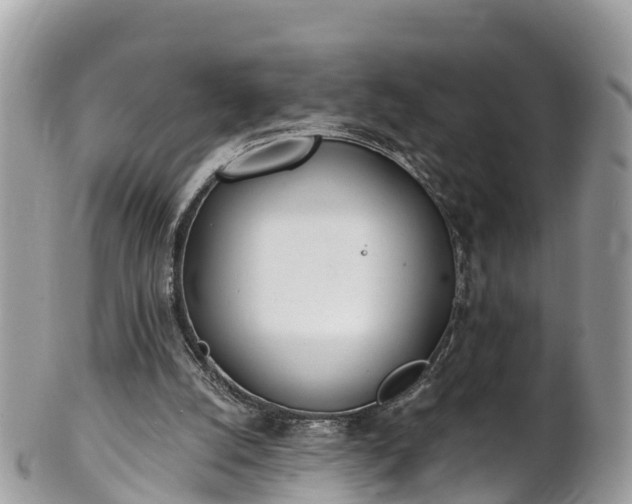 X0000101180056200807071255