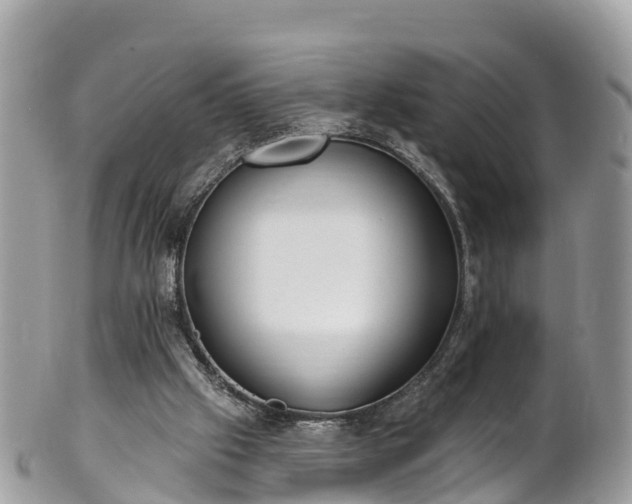 X0000101180057200807071255