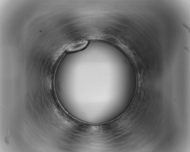 X0000101180060200807071255