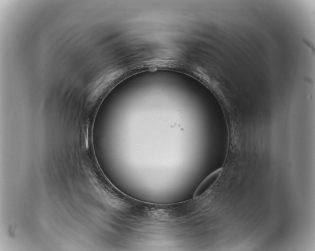 X0000101180062200807071255