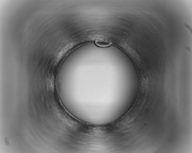 X0000101180064200807071256