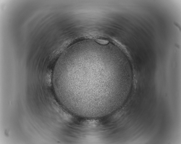 X0000101180065200807071256