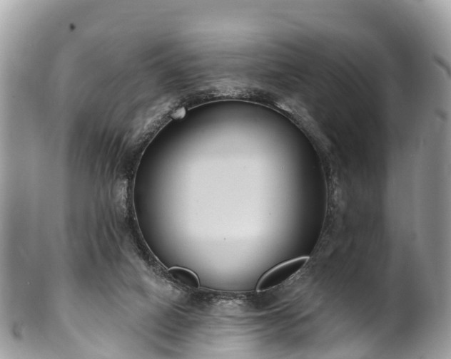 X0000101180066200807071256