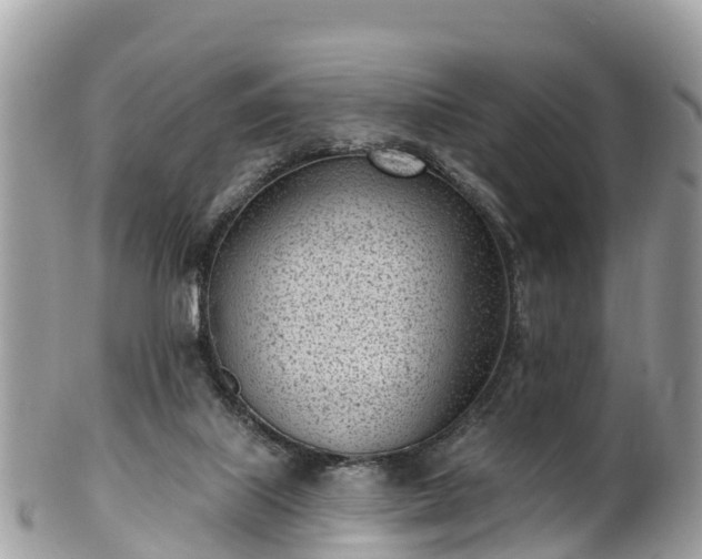 X0000101180067200807071256