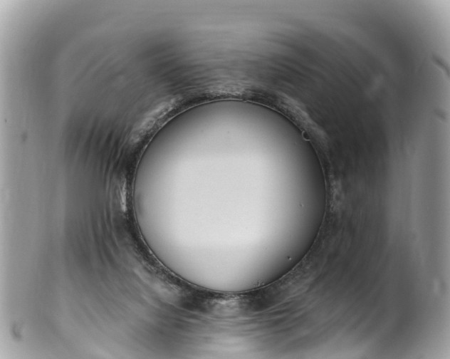 X0000101180068200807071256