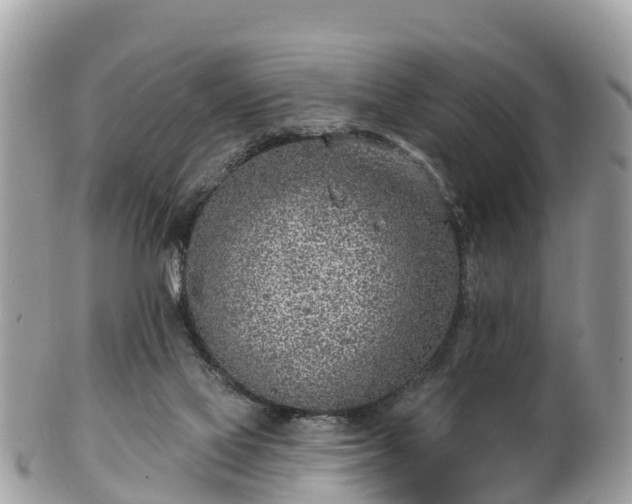 X0000101180069200807071256