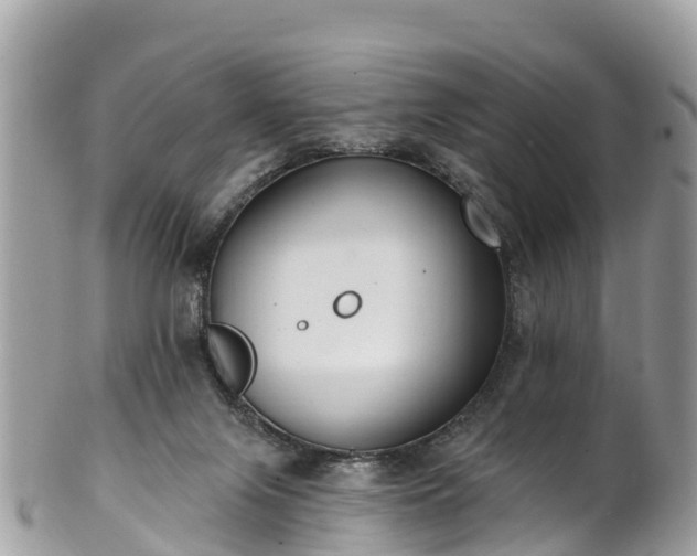 X0000101180071200807071256