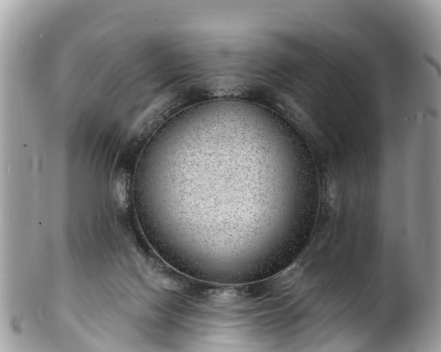 X0000101180074200807071256