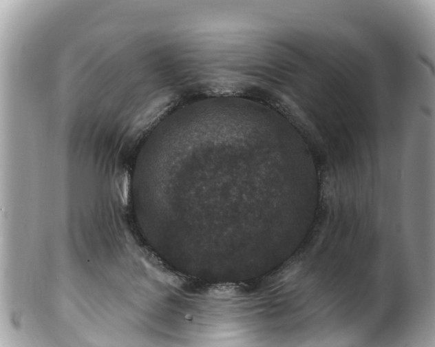 X0000101180076200807071256