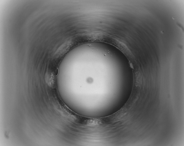 X0000101180077200807071256