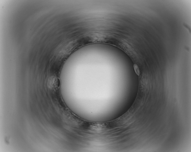 X0000101180079200807071256