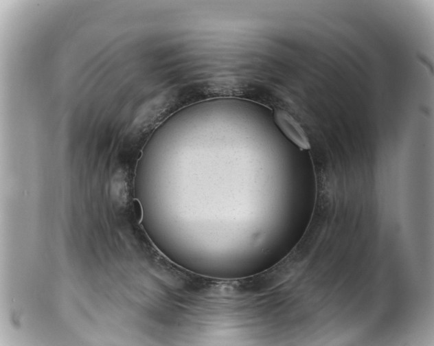 X0000101180080200807071256