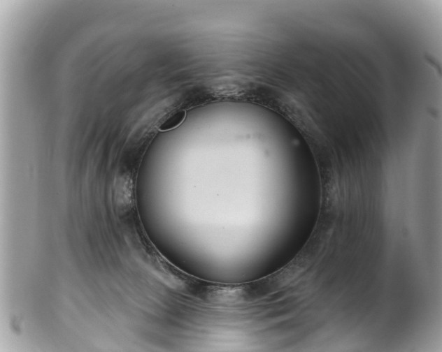 X0000101180081200807071256