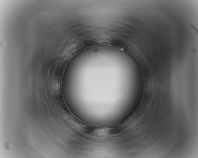 X0000101180084200807071256