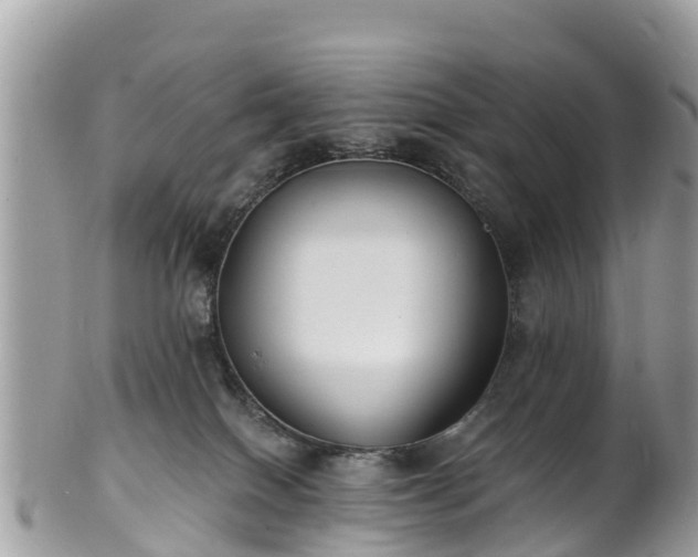 X0000101180086200807071256